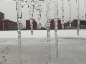 校园雪景