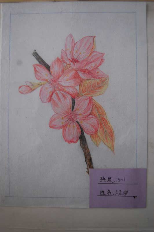七年级美术活动小组学生作品